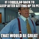 That Would Be Great Meme | IF I COULD GO BACK TO SLEEP AFTER GETTING UP TO PEE; THAT WOULD BE GREAT | image tagged in memes,that would be great | made w/ Imgflip meme maker