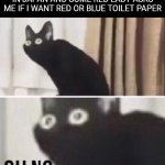 If you don't get it search up aka manto | WHEN I'M USING A BATHROOM IN JAPAN AND SOME RED LADY ASKS ME IF I WANT RED OR BLUE TOILET PAPER | image tagged in oh no cat,urban legend | made w/ Imgflip meme maker