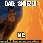 Now all of China knows you're here | DAD: *SNEEZES*; ME: | image tagged in now all of china knows you're here | made w/ Imgflip meme maker