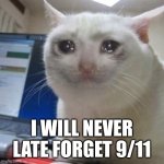 Remembering Late 9/11 | I WILL NEVER LATE FORGET 9/11 | image tagged in crying cat | made w/ Imgflip meme maker