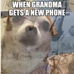 Need I Say More? | WHEN GRANDMA GETS A NEW PHONE | image tagged in ptsd chihuahua | made w/ Imgflip meme maker