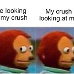 Monkey Puppet | My crush looking at me; Me looking at my crush | image tagged in memes,monkey puppet | made w/ Imgflip meme maker