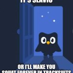 Duolingo bird | IT'S SLAVIC; OR I'LL MAKE YOU SQUAT FOREVER IN TRACKSUITS | image tagged in duolingo bird,slavic lives matter | made w/ Imgflip meme maker