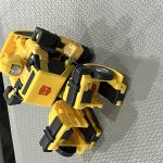 Bumblebee sit template