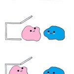 pink blob with blue blob