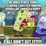 Spongebob Yelling | ME WHEN PEOPLE THINK IT'S WEIRD I TALK TO A JUMPING SPIDER LIKE I WOULD A PUPPY; Y'ALL DON'T GET IT!!!!! | image tagged in spongebob yelling | made w/ Imgflip meme maker