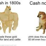 cash | Cash in 1800s; Cash now; I trade these gold coins for land and cattle; uhhh does this wrinkly $5 bill even buy gum? | image tagged in memes,buff doge vs cheems | made w/ Imgflip meme maker