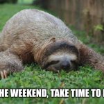 It's the weekend, take time to relax. | IT'S THE WEEKEND, TAKE TIME TO RELAX | image tagged in sleeping sloth,relax,time out,chill | made w/ Imgflip meme maker