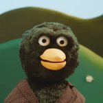 Duck staring at you without context