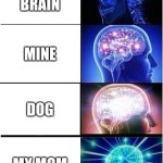 Expanding Brain | CATS BRAIN; MINE; DOG; MY MOM | image tagged in memes,expanding brain | made w/ Imgflip meme maker