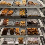BOSTON BRAIN HOLE CREAMERS | MISSING