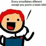Every Snowflake is Different
