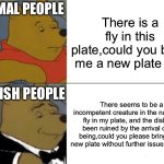 Dear ladies and gentlemen please enjoy this quite thoughtfully and poetically written statement called a meme | NORMAL PEOPLE; There is a fly in this plate,could you bring me a new plate pls. BRITISH PEOPLE; There seems to be a incompetent creature in the name of a fly in my plate, and the dish has been ruined by the arrival of this being,could you please bring me a new plate without further issues kind sir. | image tagged in memes,tuxedo winnie the pooh | made w/ Imgflip meme maker