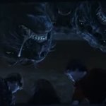 Fluffy Drool (Harry Potter)