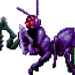 Purple lobstermantis