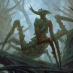 Lumberjack mantis in the foggy mires