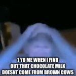 Noooooóoooooo | 7 YO ME WHEN I FIND OUT THAT CHOCOLATE MILK DOESNT COME FROM BROWN COWS | image tagged in gifs,confused screaming | made w/ Imgflip video-to-gif maker
