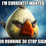 Realistic Angry Bird (Mathilda) | I’M CURRENTLY WANTED; FOR RUNNING 30 STOP SIGNS | image tagged in realistic angry bird mathilda | made w/ Imgflip meme maker
