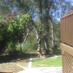 ZALAJA 777 - my backyard