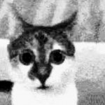 Shocked cia agent