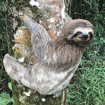 Sloth monster