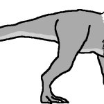 Axer (Right Side View)
