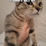 bruh eli | MY KNEES I CAN'T GET UP; ME POOPIN | image tagged in i my cat | made w/ Imgflip meme maker