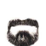 mustache beard