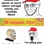 maga irony