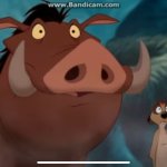 Timon and Pumbaa’s confused look