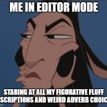 Writer in Edit Mode | ME IN EDITOR MODE; STARING AT ALL MY FIGURATIVE FLUFF DESCRIPTIONS AND WEIRD ADVERB CHOICES | image tagged in kuzco skeptical | made w/ Imgflip meme maker