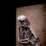 Skeleton meme