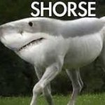 Shorse