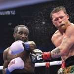 Canelo punched