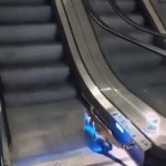 Easy Fix....Meow! | Man Helped Cat Go Up 
"The UP Escalator" | image tagged in gifs,man,cat,doing the right things,wholesome content,relatable | made w/ Imgflip video-to-gif maker
