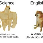 Buff Doge vs. Cheems | Science; English; I will tell you how and why the world works. A VeRb Is AN ActIOn WOrd | image tagged in memes,buff doge vs cheems | made w/ Imgflip meme maker