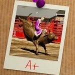 kinger riding bull meme