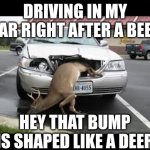 Oh dear! | DRIVING IN MY CAR RIGHT AFTER A BEER; HEY THAT BUMP IS SHAPED LIKE A DEER | image tagged in oh dear | made w/ Imgflip meme maker
