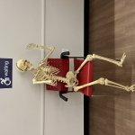 Waiting Skeleton