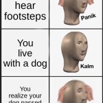You realized | You hear footsteps; You live with a dog; You realize your dog passed away yesterday | image tagged in memes,panik kalm panik | made w/ Imgflip meme maker