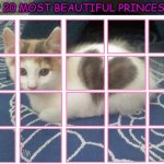 top 20 most beautiful princesses