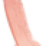 penis