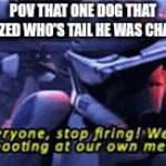 the realization | POV THAT ONE DOG THAT REALIZED WHO'S TAIL HE WAS CHASING | image tagged in gifs,dog | made w/ Imgflip video-to-gif maker