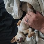 Paint me like one of your french girls