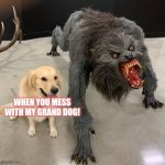 Grand dog scary nana mama grandma | WHEN YOU MESS WITH MY GRAND DOG! | image tagged in good dog scary dog | made w/ Imgflip meme maker