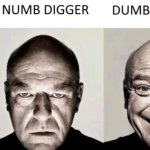 Numb digger meme