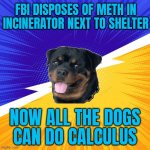 WHEN THE FBI 'DISPOSES' OF THE METH BY LIGHTING UP THE INCINERATOR NEXT TO THE ANIMAL SHELTER | FBI DISPOSES OF METH IN INCINERATOR NEXT TO SHELTER; NOW ALL THE DOGS
CAN DO CALCULUS | image tagged in advice dog,math is math,meth,why is the fbi here,animals,fbi | made w/ Imgflip meme maker