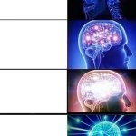 Brain