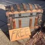 Obvious Mimic