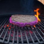 Furry BBQ